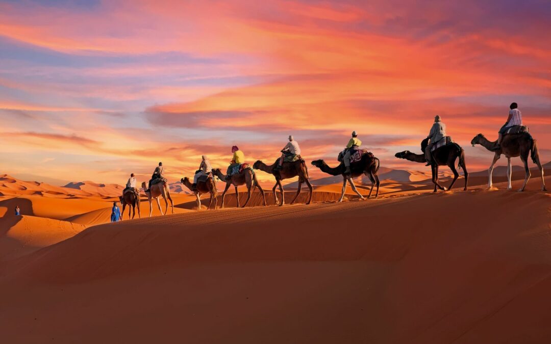 Sunset Camel Trek – Erg Chebbi Dunes