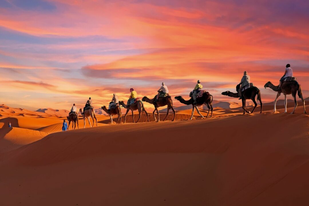 Sunset Camel Trek – Erg Chebbi Dunes