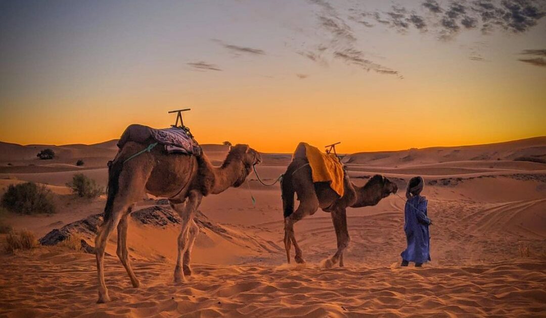One Day Camel Trek in Merzouga Desert