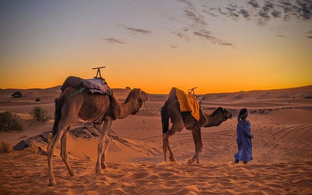 One Day Camel Trek in Merzouga Desert