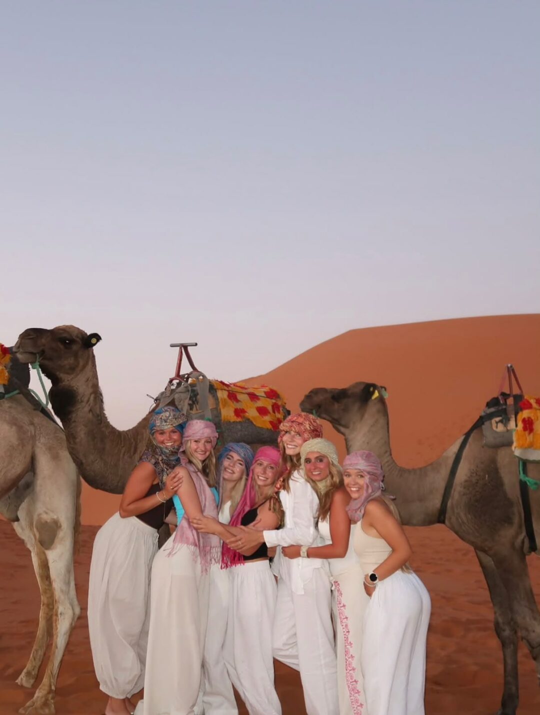 Erg Chebbi Dunes Sunset Camel Trek from Merzouga for Unforgettable Sahara