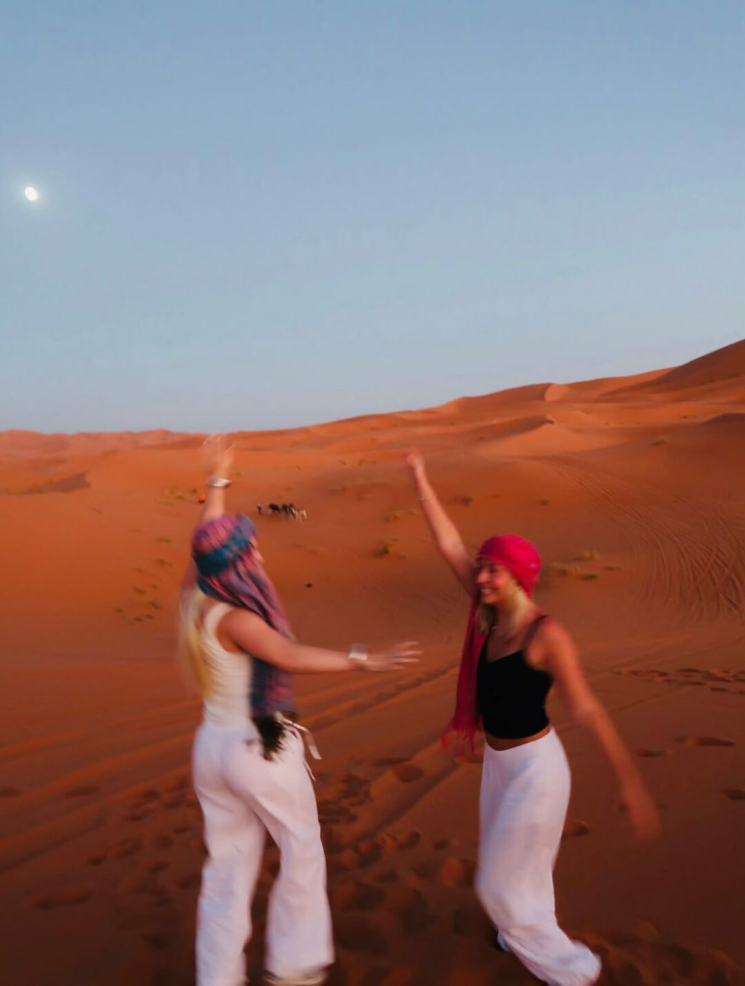 One Day Camel Trek in Merzouga Desert