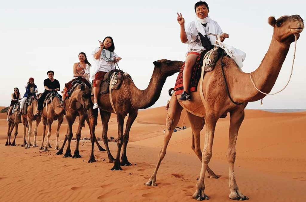 2 Nights Camel Trekking in Merzouga Desert