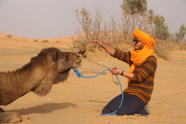 12 Days Morocco Tour from Casablanca