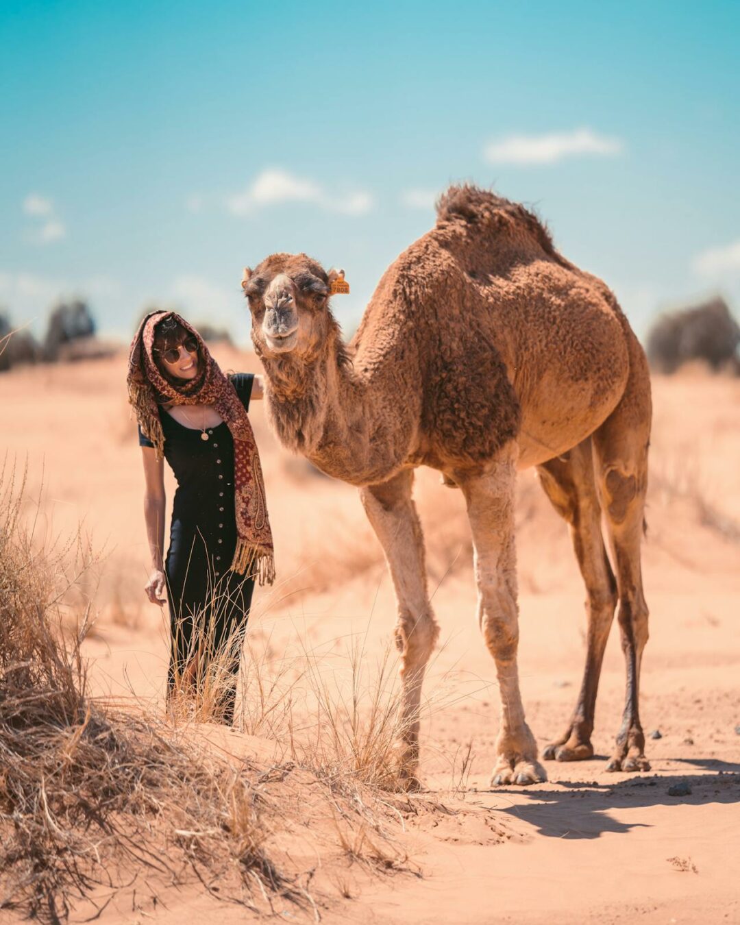 10-Day Desert Tour from Agadir