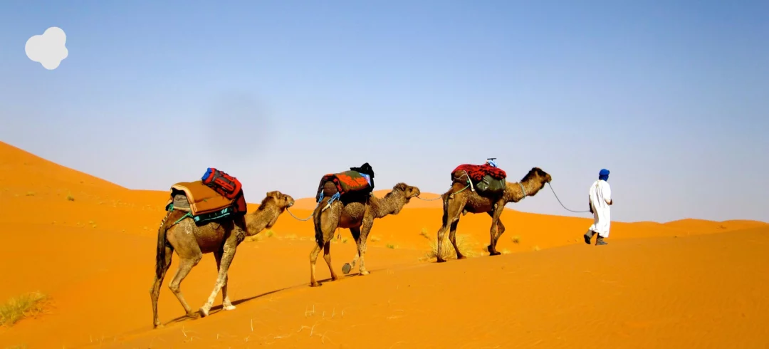 5-Day Sahara Tour from Errachidia to Marrakech
