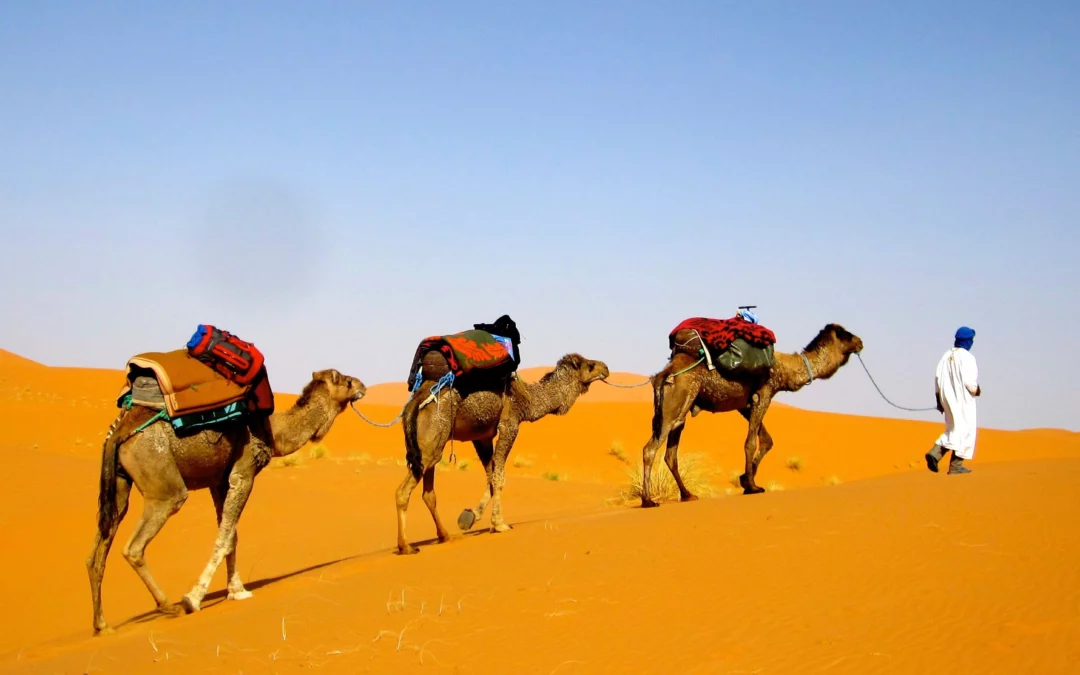 5-Day Sahara Tour from Errachidia to Marrakech