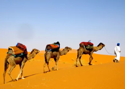 Camel trek at sunset across Erg Chebbi dunes during the 5-Day Sahara Tour from Errachidia to Marrakech