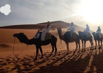 Erg Chebbi Dunes Sunset Camel Trek at sunset