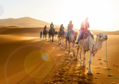 One Day Camel Trek in Merzouga Desert
