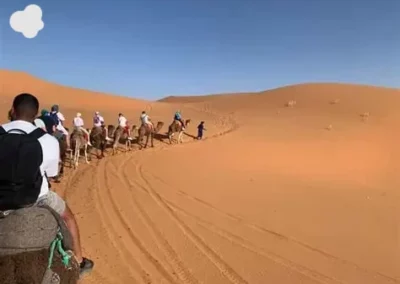 Sandboarding during One Day Camel Trek in Merzouga Desert