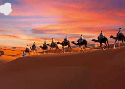 Oasis visit during One Day Camel Trek in Merzouga Desert