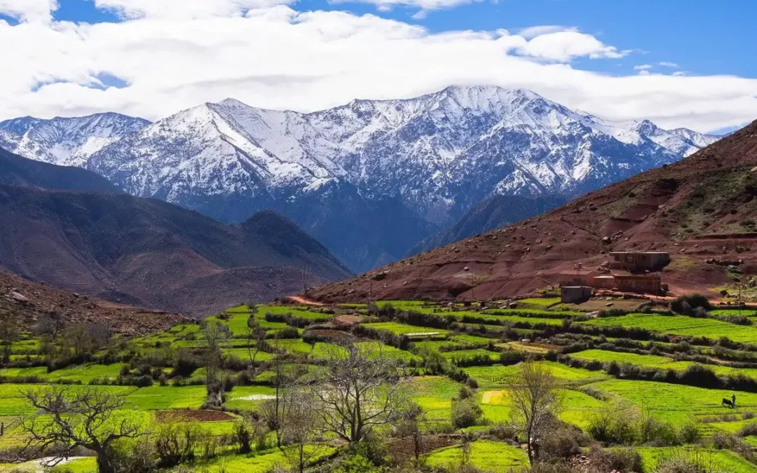 5-Day Hiking Tour in Morocco: Atlas Mountains, Valleys & Desert Trails