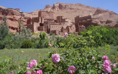 Moroccan Natural Products: Traditional Treasures, Argan Oil, Spices & Artisan Beauty Secrets