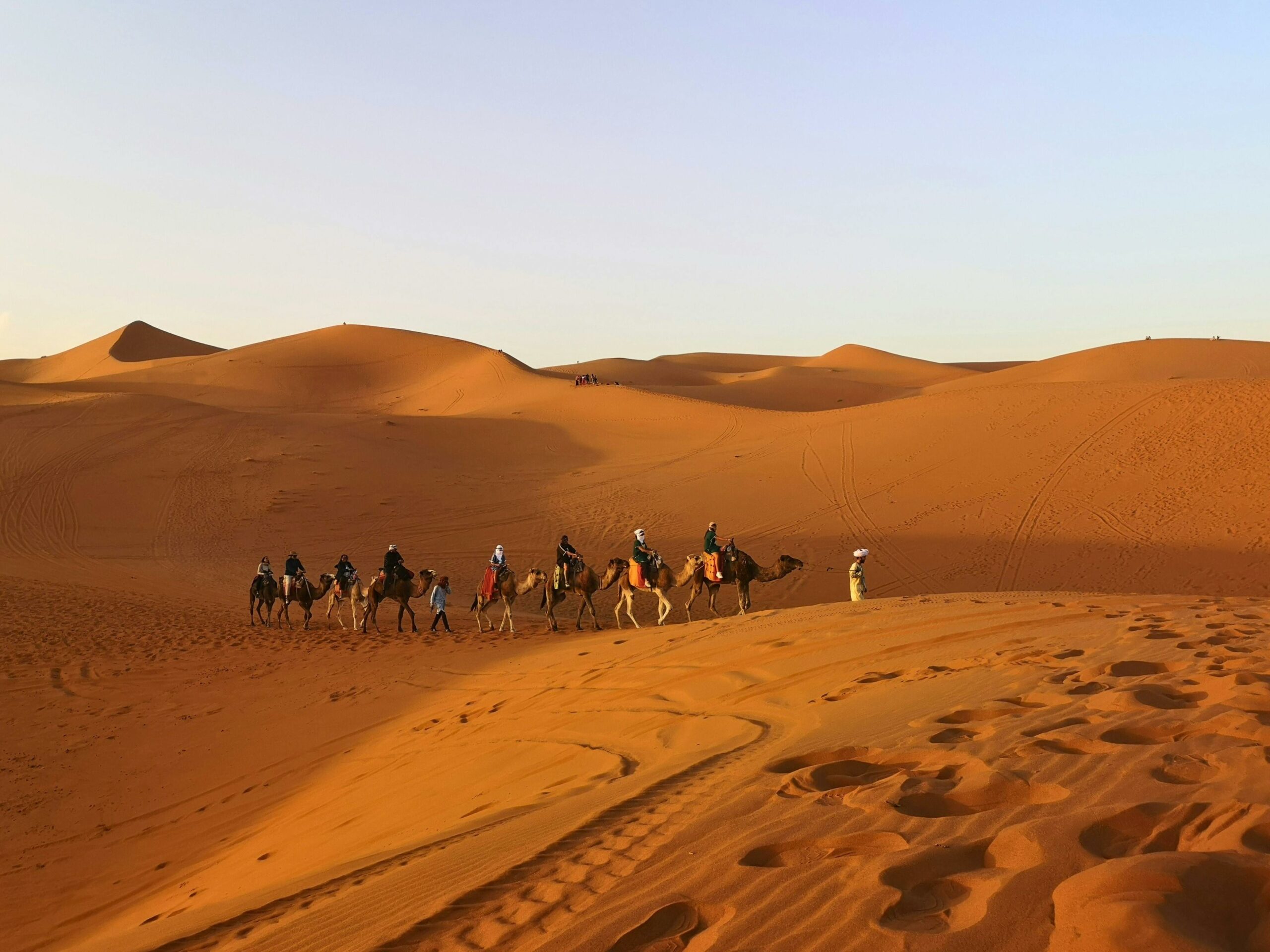 Camel Caravan Crossing Sahara Desert Dunes in morocco What to Expect on Your First Camel Trek