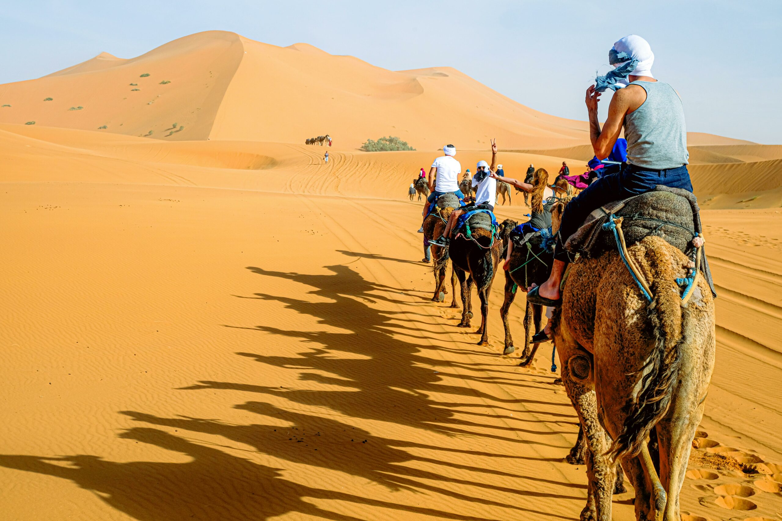 Tourists riding camels across Erg Chebbi dunes at sunrise in Morocco
