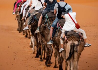One Day Camel Trek in Merzouga Desert
