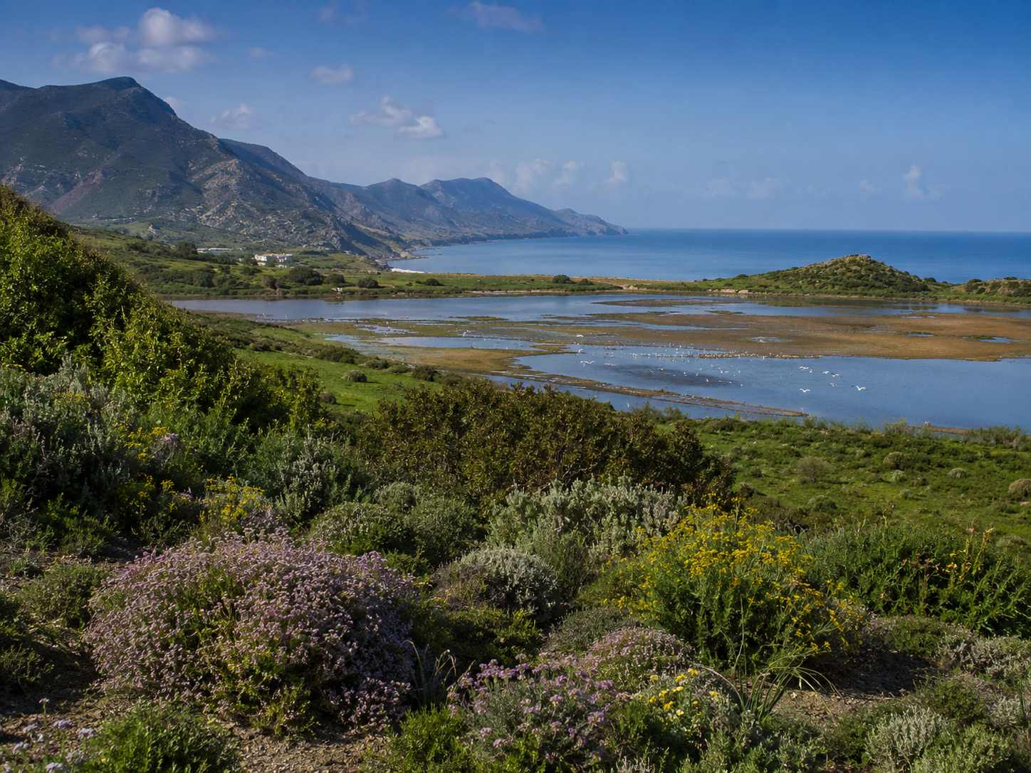 Northeast Morocco