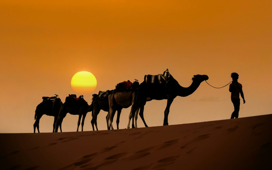 What to Expect on Your First Camel Trek: The Ultimate Beginner’s Guide to the Moroccan Sahara