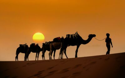 What to Expect on Your First Camel Trek: The Ultimate Beginner’s Guide to the Moroccan Sahara