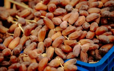Erfoud Date Festival: A Complete Guide to Morocco’s Sahara Harvest Celebration