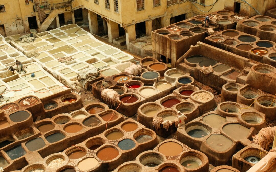 Leather Shopping Tour in Fes
