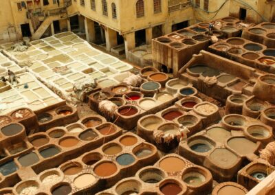Leather Shopping Tour in Fes