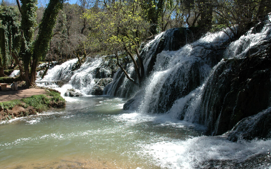 Is Ifrane Worth Visiting? A Complete Guide to Morocco’s Little Switzerland