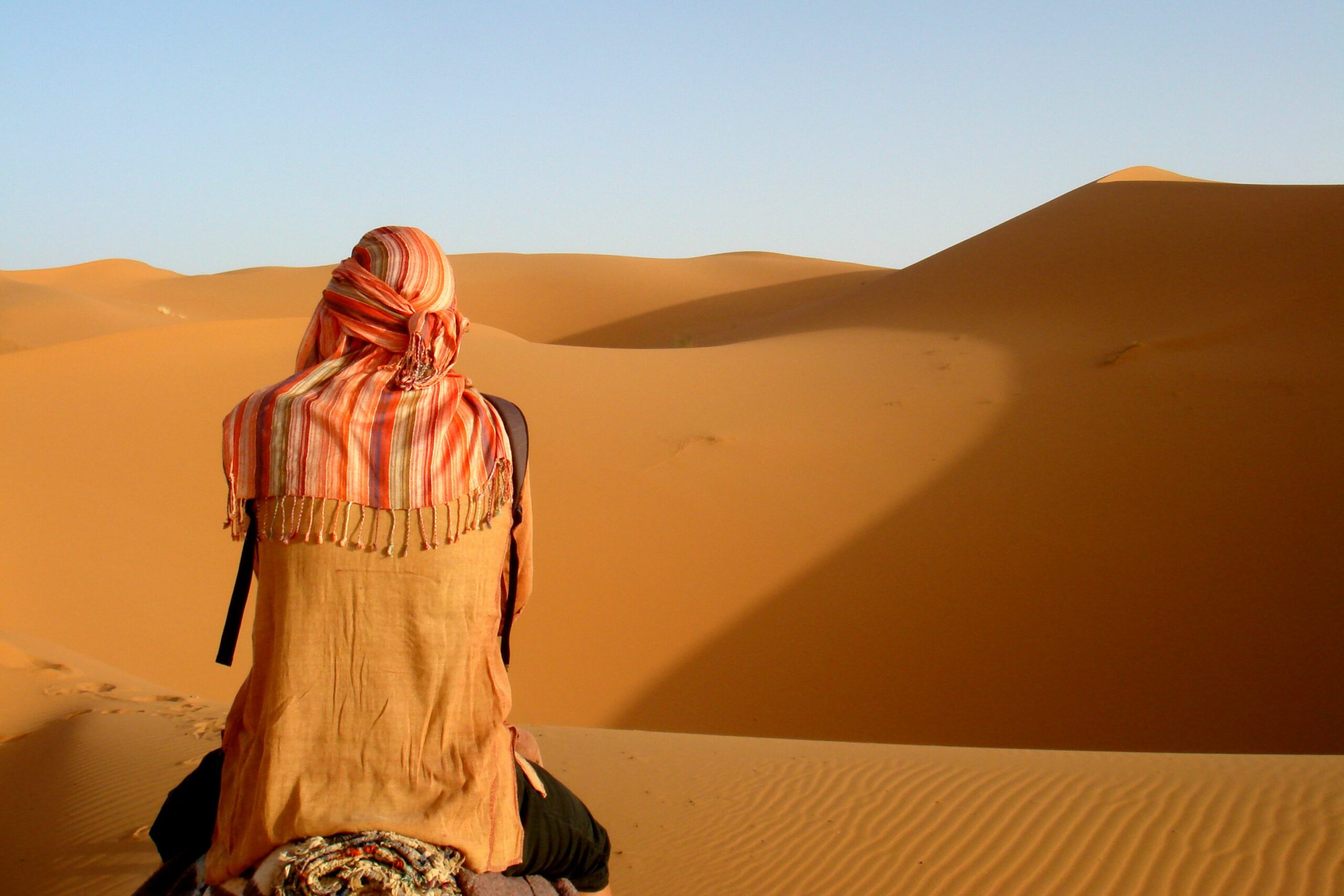 Camel Trek in Morocco