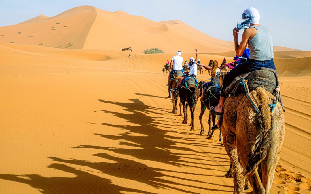 5-Day Morocco Student Tour: Marrakech & Sahara Desert