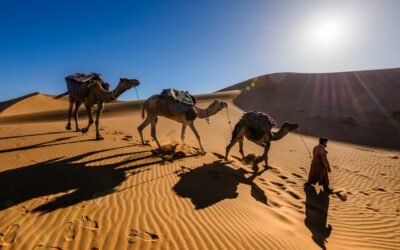 Camel trek in Morocco: What to expect, best time and how to choose your trek