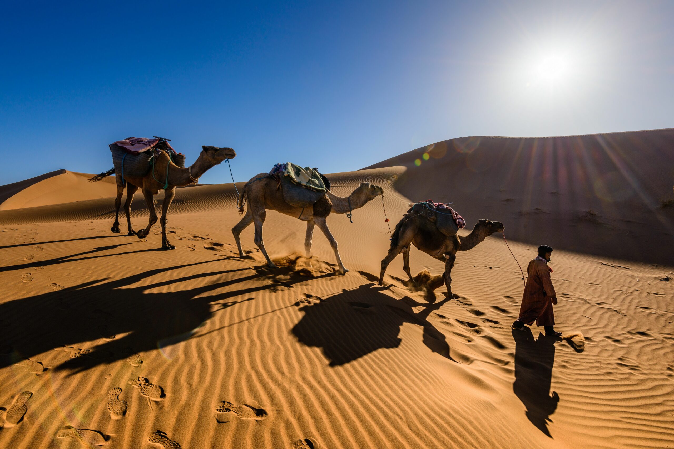 camel trek in Morocco